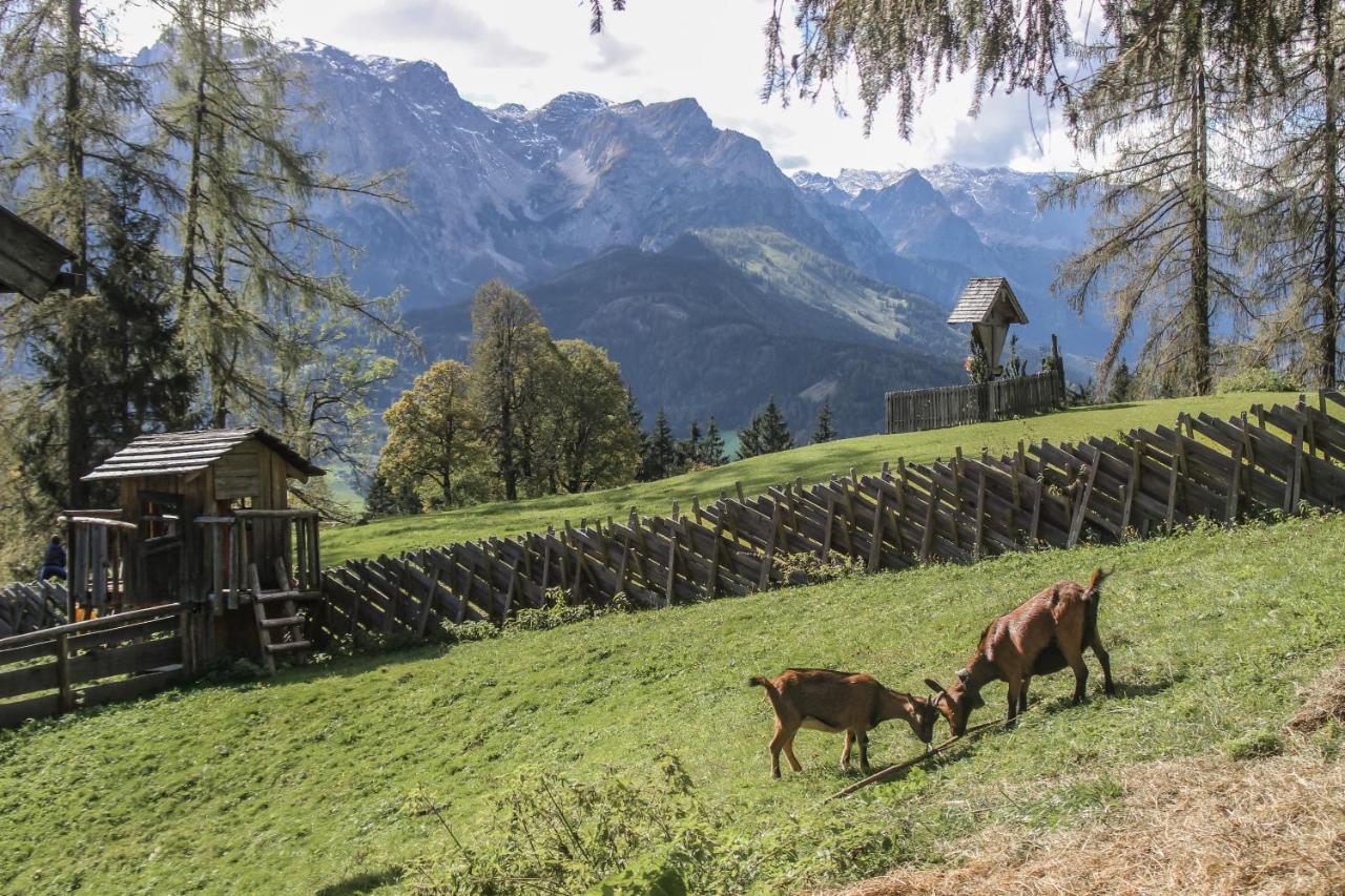 Haus Kathrin Hotel Werfenweng Kültér fotó